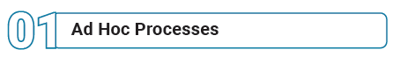 ad-hoc-processes